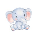 Daxiang Mobile VPN, 象群手机机场