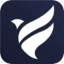 Feiniao Mobile VPN, 翱翔的鸟儿手机机场