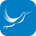 Fengniao Mobile VPN, 蜂鸟手机机场