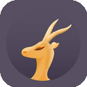 Lingyang Mobile VPN, 羚羊手机机场