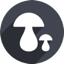 Mogul Mobile VPN, 菌类手机机场